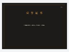 荣誉证书 · 墨玉鎏金模板