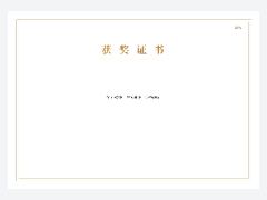 获奖证书 · 一等奖模板